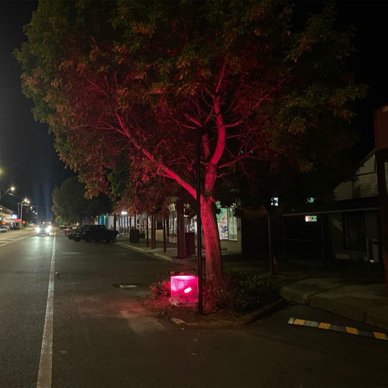 Merriwa Lights (1)