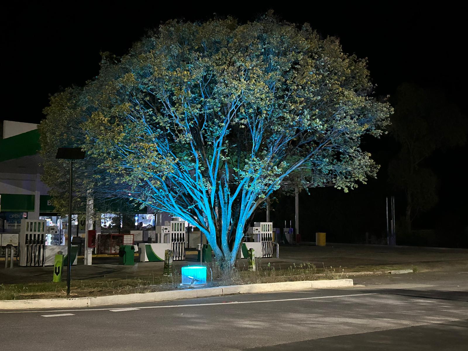 Merriwa RGB Tree Lighting