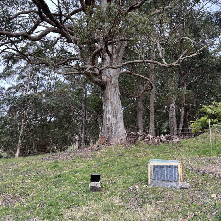 Robertson-Residential-Flood-Light-Project-1