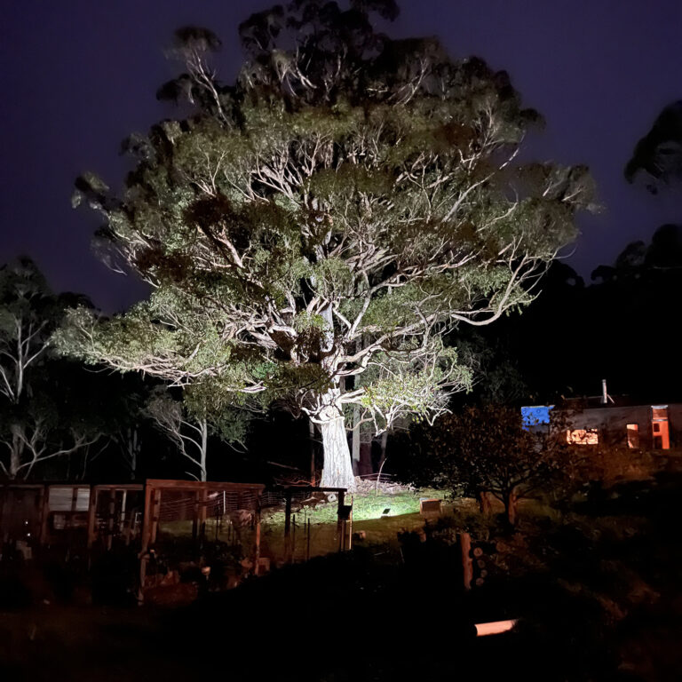 Robertson-Residential-Flood-Light-Project-2