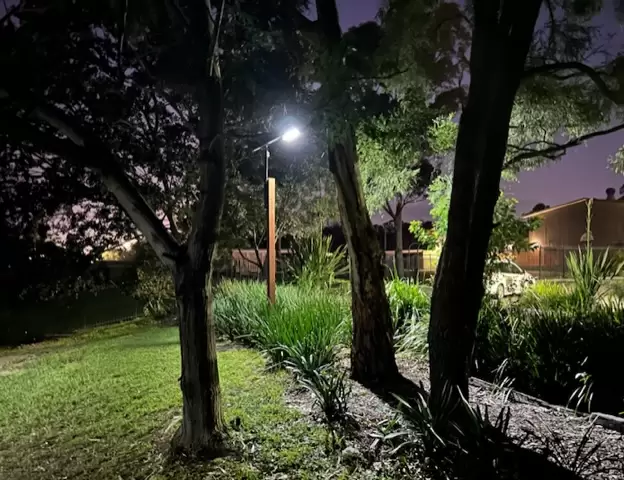 Sap Designer Lighting – Park Lighting Project